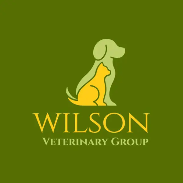 wilson veterinary group